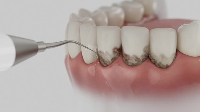 Reliable Dental contractor in Biltmore, TN by Dentist Open Now